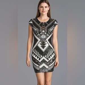 Express Sequence Dress